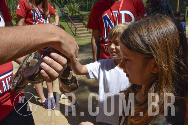 Buy your photos of the eventNR1 - Cl�ssico 03 a 05/04/19 on Fotop