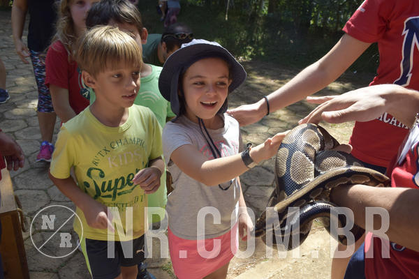 Buy your photos of the eventNR1 - Cl�ssico 03 a 05/04/19 on Fotop