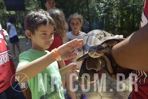 Buy your photos of the eventNR1 - Cl�ssico 03 a 05/04/19 on Fotop