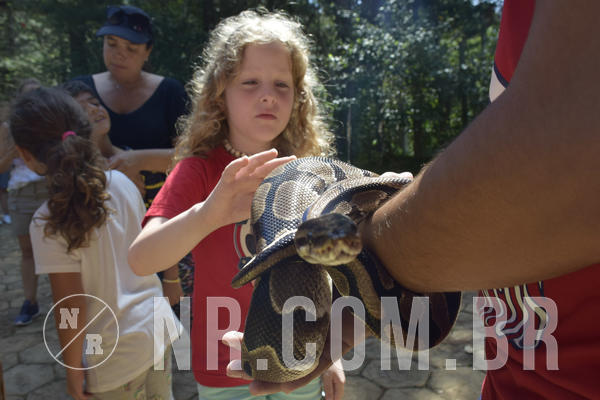 Buy your photos of the eventNR1 - Cl�ssico 03 a 05/04/19 on Fotop