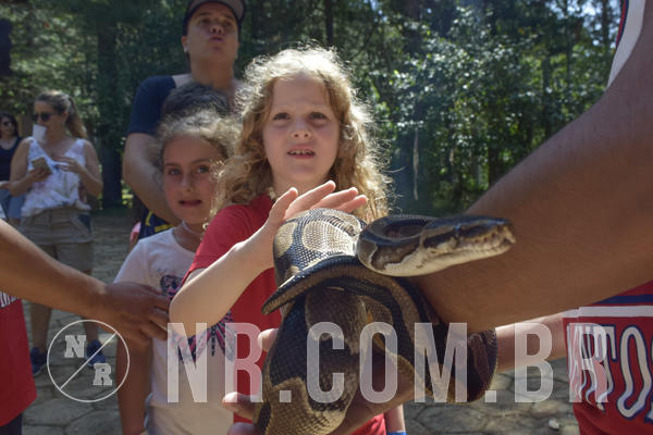 Buy your photos of the eventNR1 - Cl�ssico 03 a 05/04/19 on Fotop