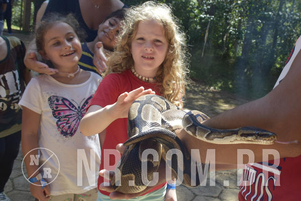 Buy your photos of the eventNR1 - Cl�ssico 03 a 05/04/19 on Fotop