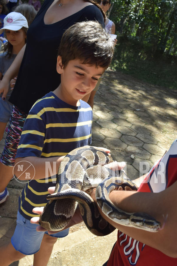 Buy your photos of the eventNR1 - Cl�ssico 03 a 05/04/19 on Fotop