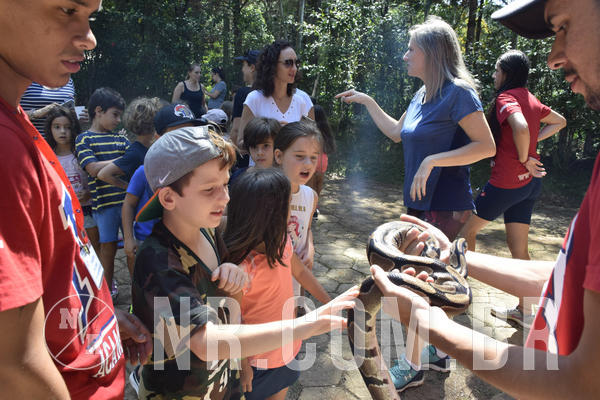 Buy your photos of the eventNR1 - Cl�ssico 03 a 05/04/19 on Fotop