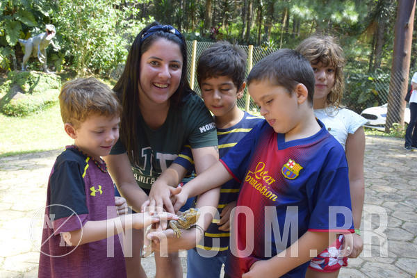 Buy your photos of the eventNR1 - Cl�ssico 03 a 05/04/19 on Fotop