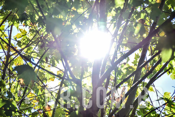 Buy your photos of the eventNR2 - Classico 03 a 05/04/19 on Fotop