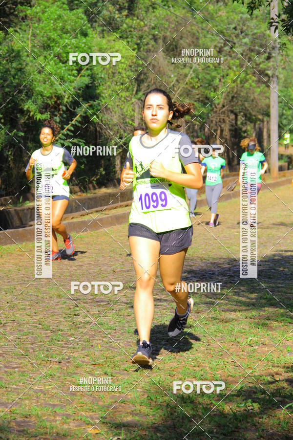 Buy your photos of the eventDESAFIO MANGABEIRAS TRAIL RUN on Fotop