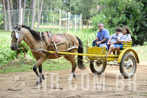 Buy your photos of the eventNR1 - English & Action 05 a 07/04/19 on Fotop