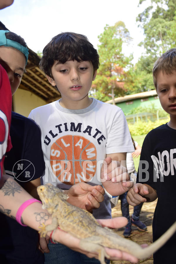 Buy your photos of the eventNR1 - English & Action 05 a 07/04/19 on Fotop