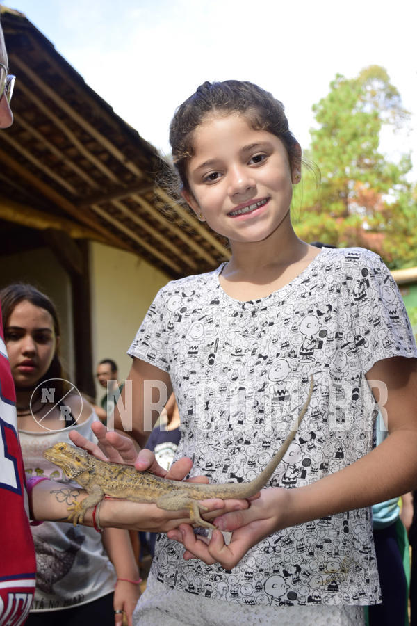 Buy your photos of the eventNR1 - English & Action 05 a 07/04/19 on Fotop