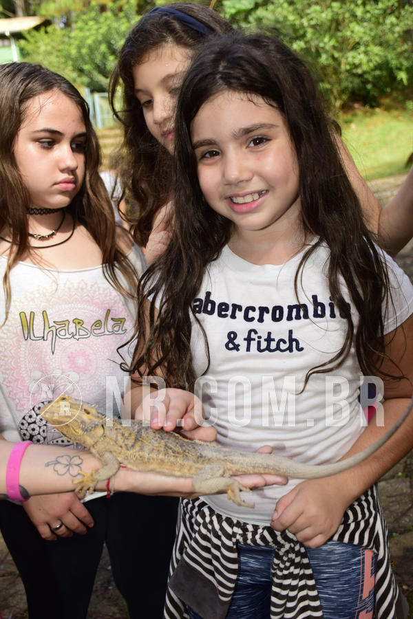 Buy your photos of the eventNR1 - English & Action 05 a 07/04/19 on Fotop