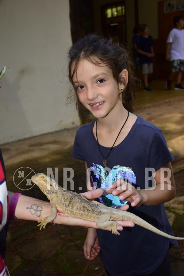 Buy your photos of the eventNR1 - English & Action 05 a 07/04/19 on Fotop