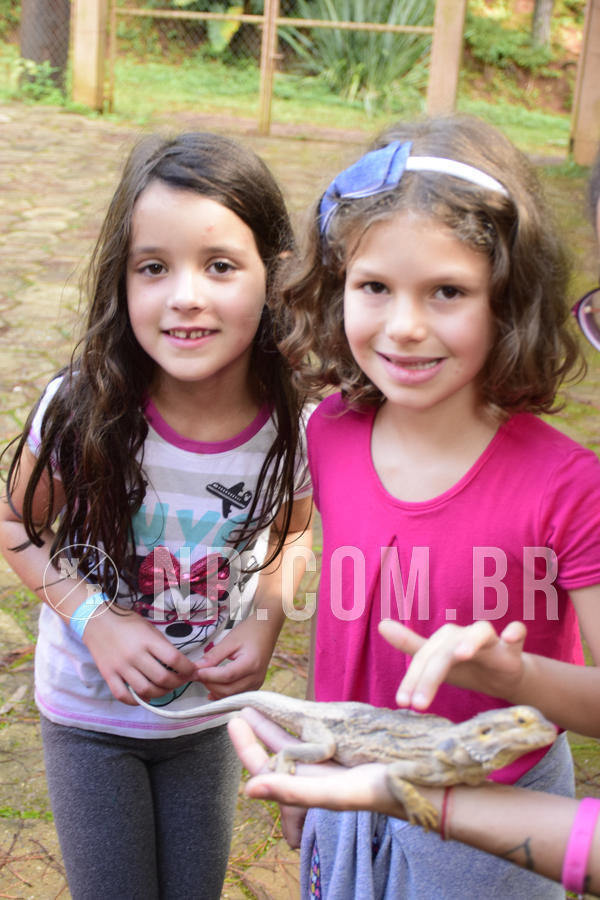 Buy your photos of the eventNR1 - English & Action 05 a 07/04/19 on Fotop