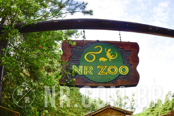 Buy your photos of the eventNR1 - English & Action 05 a 07/04/19 on Fotop