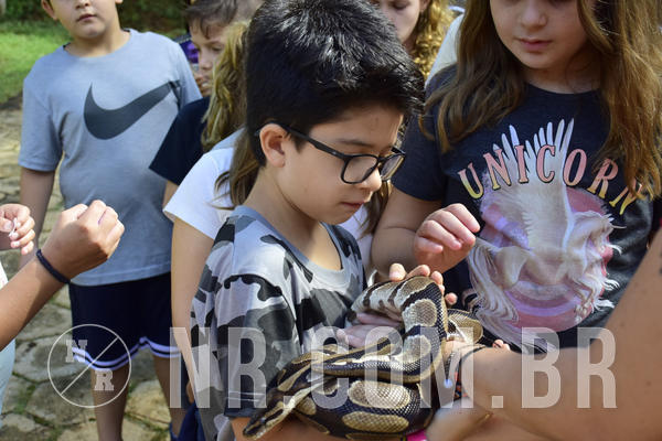 Buy your photos of the eventNR1 - English & Action 05 a 07/04/19 on Fotop