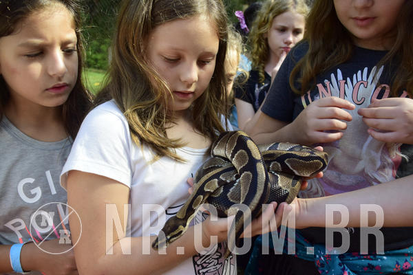 Buy your photos of the eventNR1 - English & Action 05 a 07/04/19 on Fotop