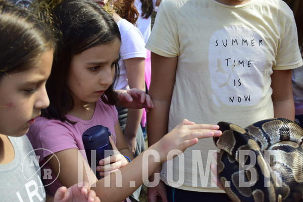 Buy your photos of the eventNR1 - English & Action 05 a 07/04/19 on Fotop