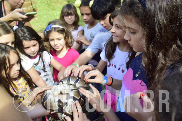 Buy your photos of the eventNR1 - English & Action 05 a 07/04/19 on Fotop