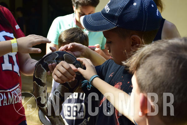 Buy your photos of the eventNR1 - English & Action 05 a 07/04/19 on Fotop