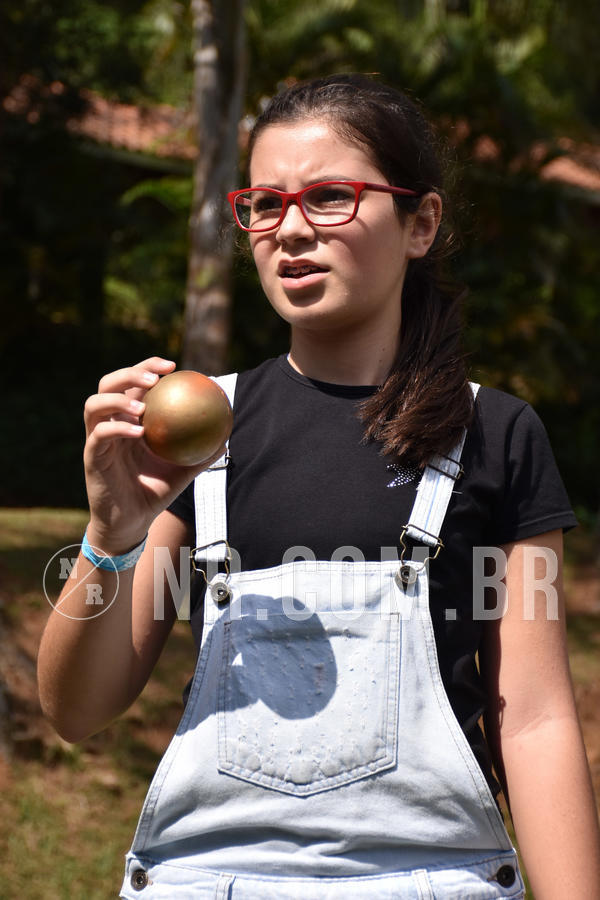 Buy your photos of the eventNR2 - English & Action 05 A 07/04/19 on Fotop