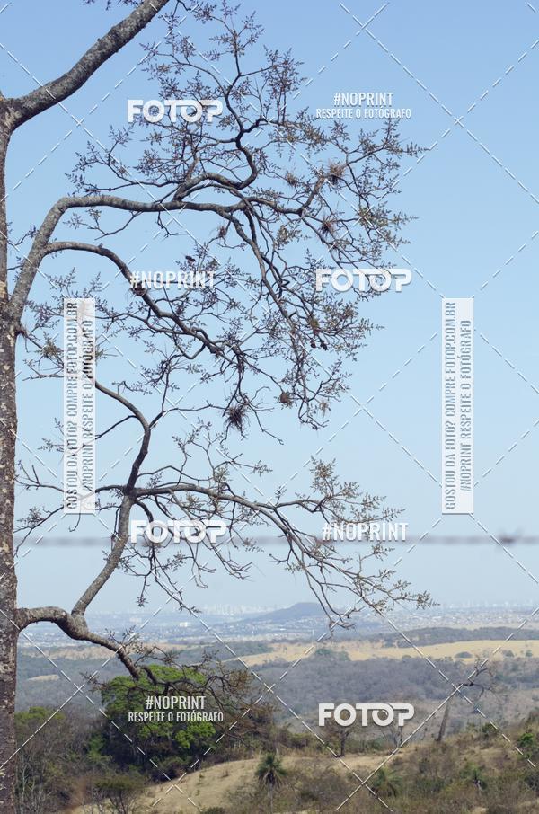 Buy your photos of the eventDesafio da Macaca 2019 MTB on Fotop