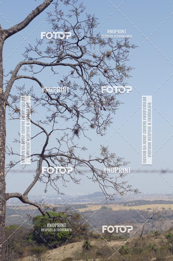 Buy your photos of the eventDesafio da Macaca 2019 MTB on Fotop