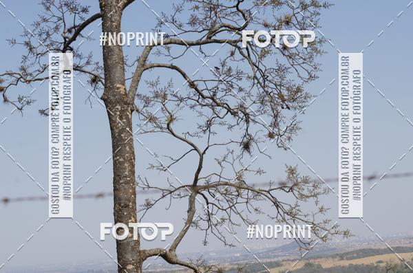 Buy your photos of the eventDesafio da Macaca 2019 MTB on Fotop