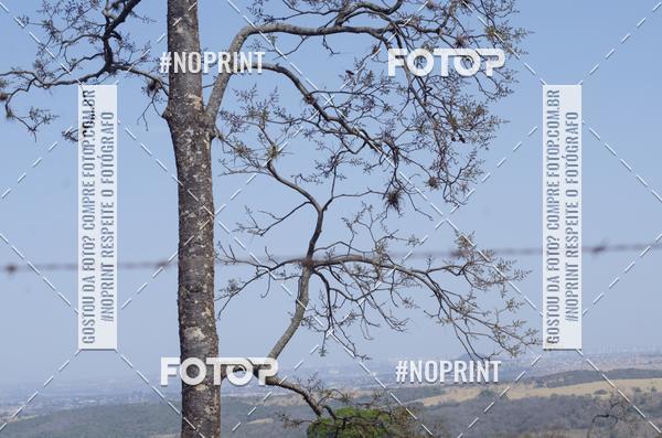 Buy your photos of the eventDesafio da Macaca 2019 MTB on Fotop