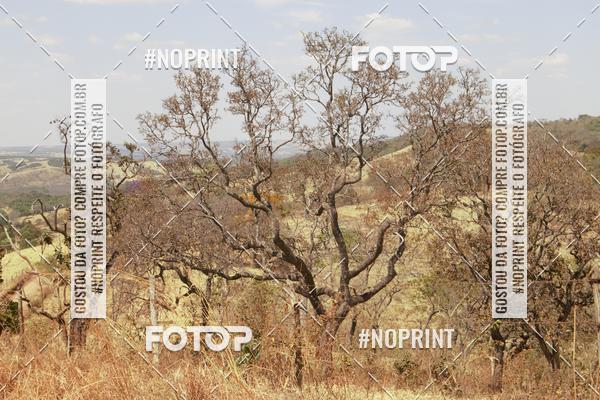 Buy your photos of the eventDesafio da Macaca 2019 MTB on Fotop