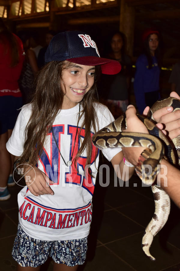 Buy your photos of the eventNR1 - Cl�ssico 07 a 09/04/19 on Fotop