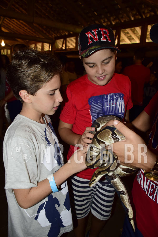 Buy your photos of the eventNR1 - Cl�ssico 07 a 09/04/19 on Fotop