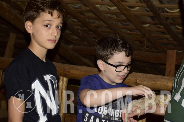 Buy your photos of the eventNR1 - Cl�ssico 07 a 09/04/19 on Fotop