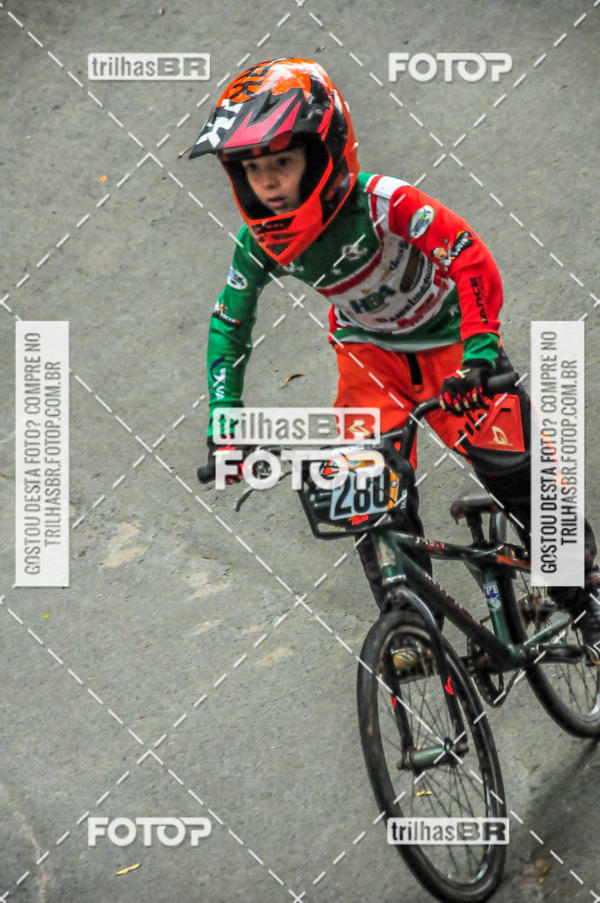 Buy your photos of the event1 Etapa Campeonato Brasileiro de Bicicross 2019 - CBBX on Fotop