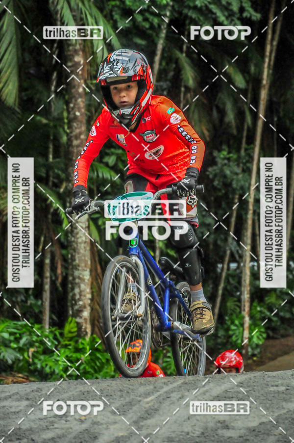 Buy your photos of the event1 Etapa Campeonato Brasileiro de Bicicross 2019 - CBBX on Fotop
