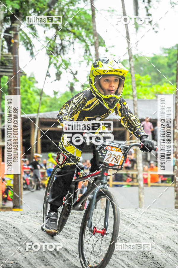 Buy your photos of the event1 Etapa Campeonato Brasileiro de Bicicross 2019 - CBBX on Fotop
