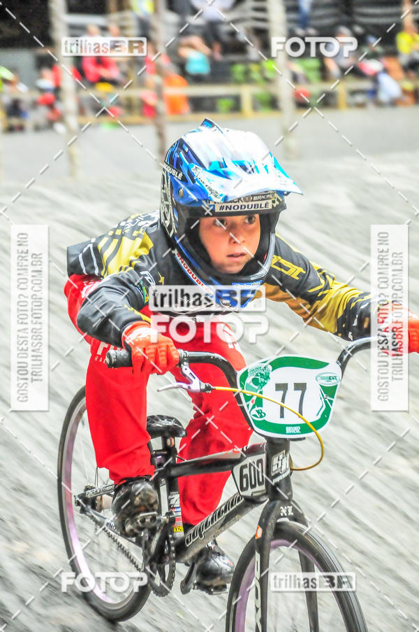 Buy your photos of the event1 Etapa Campeonato Brasileiro de Bicicross 2019 - CBBX on Fotop