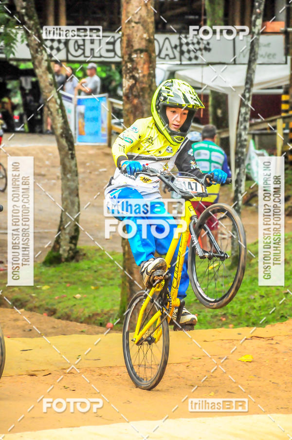 Buy your photos of the event1 Etapa Campeonato Brasileiro de Bicicross 2019 - CBBX on Fotop