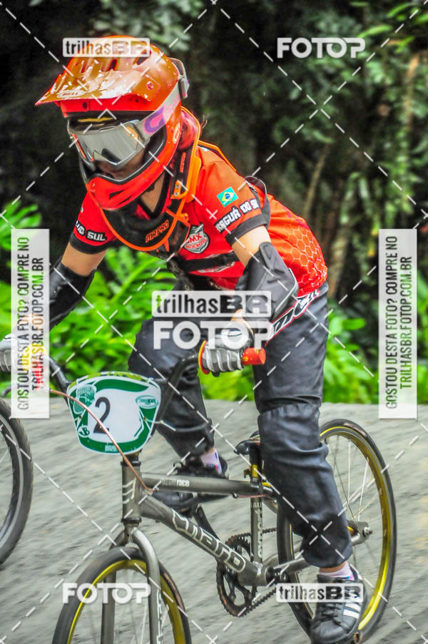 Buy your photos of the event1 Etapa Campeonato Brasileiro de Bicicross 2019 - CBBX on Fotop
