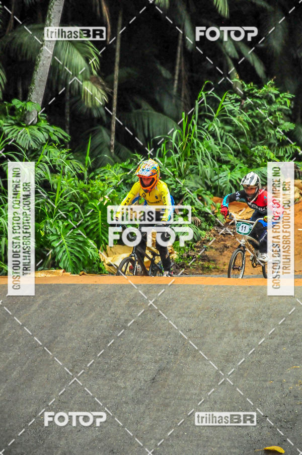 Buy your photos of the event1 Etapa Campeonato Brasileiro de Bicicross 2019 - CBBX on Fotop