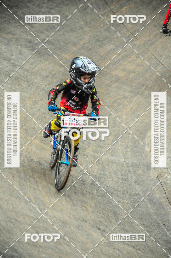 Buy your photos of the event1 Etapa Campeonato Brasileiro de Bicicross 2019 - CBBX on Fotop