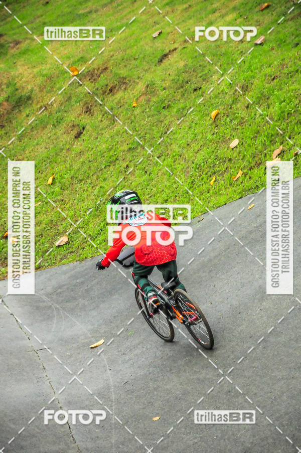 Buy your photos of the event1 Etapa Campeonato Brasileiro de Bicicross 2019 - CBBX on Fotop