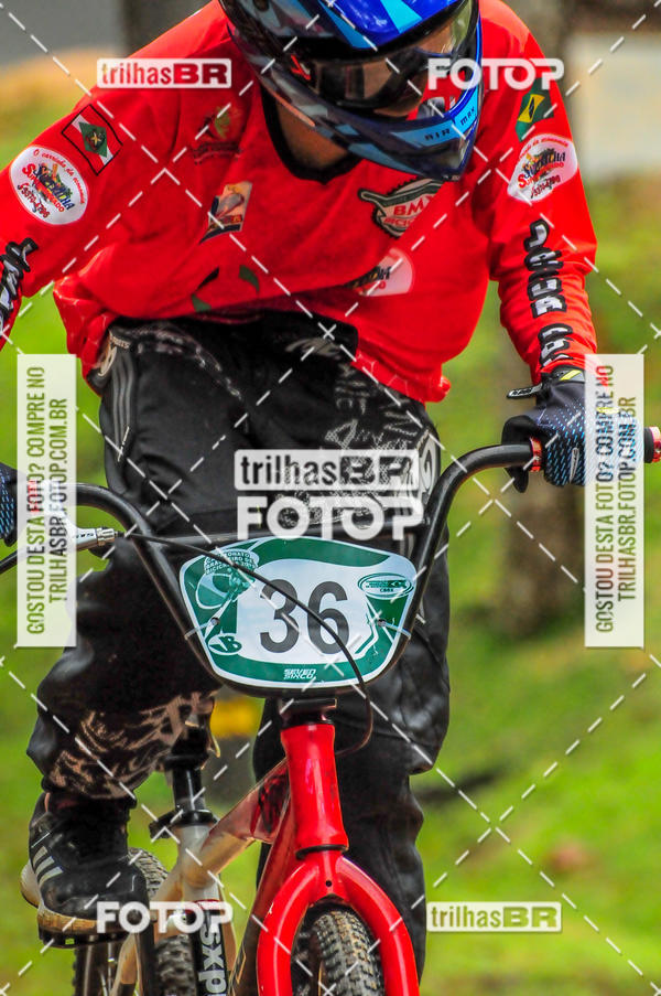 Buy your photos of the event1 Etapa Campeonato Brasileiro de Bicicross 2019 - CBBX on Fotop