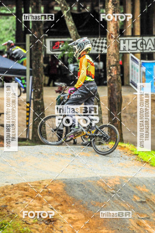 Buy your photos of the event1 Etapa Campeonato Brasileiro de Bicicross 2019 - CBBX on Fotop
