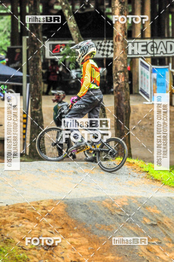 Buy your photos of the event1 Etapa Campeonato Brasileiro de Bicicross 2019 - CBBX on Fotop