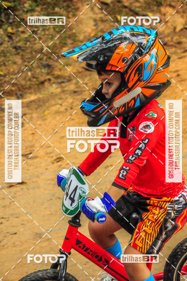 Buy your photos of the event1 Etapa Campeonato Brasileiro de Bicicross 2019 - CBBX on Fotop