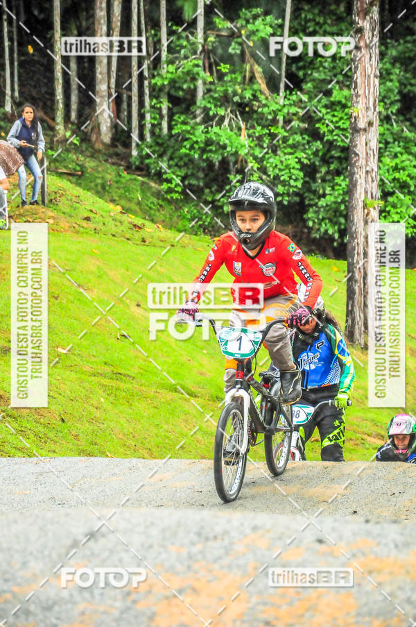 Buy your photos of the event1 Etapa Campeonato Brasileiro de Bicicross 2019 - CBBX on Fotop