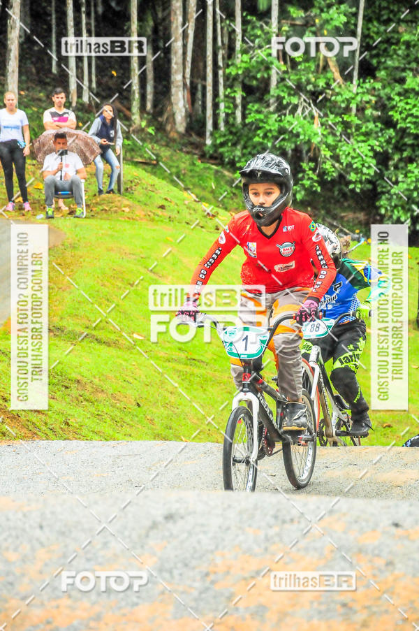 Buy your photos of the event1 Etapa Campeonato Brasileiro de Bicicross 2019 - CBBX on Fotop