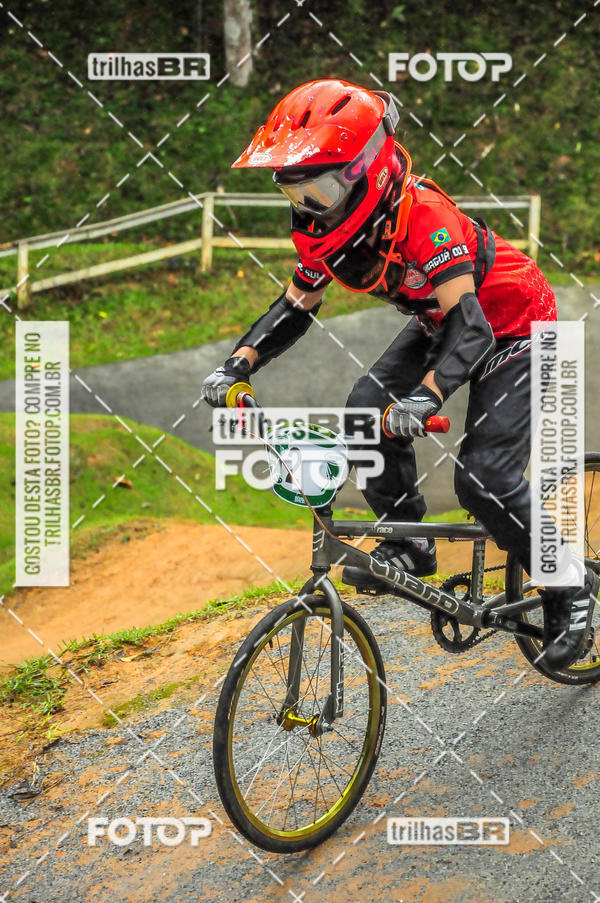 Buy your photos of the event1 Etapa Campeonato Brasileiro de Bicicross 2019 - CBBX on Fotop