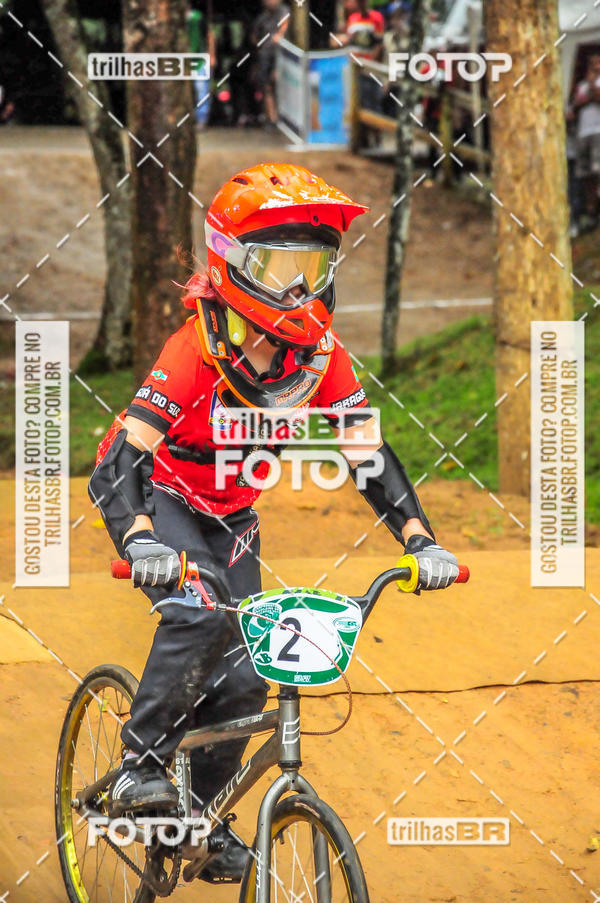 Buy your photos of the event1 Etapa Campeonato Brasileiro de Bicicross 2019 - CBBX on Fotop