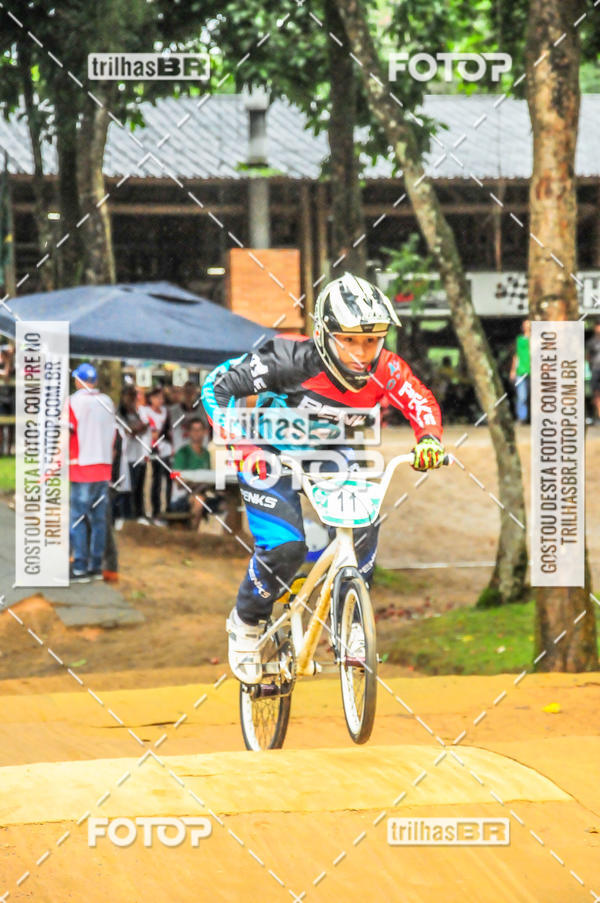 Buy your photos of the event1 Etapa Campeonato Brasileiro de Bicicross 2019 - CBBX on Fotop